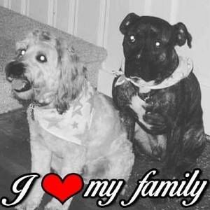 Meet your Posher, Carole